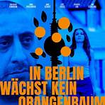 In Berlin wächst kein Orangenbaum5