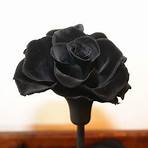 Black Rose4