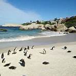 boulders beach cidade do cabo áfrica do sul2