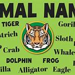 define fountainhead name examples of animals in nature videos3