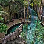 xcaret park riviera maya reviews2