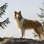 Lassie: Eine Abenteurliche Reise Film4
