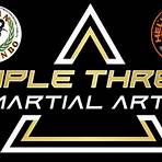 triple threat martial arts2