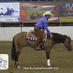 brian bell performance horses4
