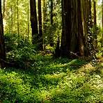 grizzly park california state beach2