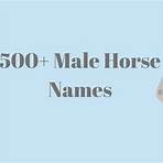 male horse name4