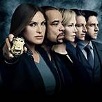 What are the best cop shows on Netflix?1