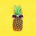 pineapple express movie wallpaper3