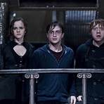 Harry Potter and the Deathly Hallows: Part 2 movie4