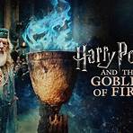 harry potter and the goblet of fire subtitles3