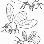 desenho de abelha rainha2