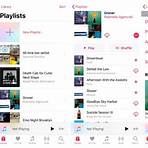what is the best app to listen to music offline on laptop3