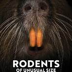 Rodents of Unusual Size movie4