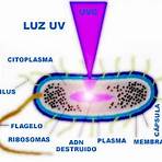 por qué se usa la luz ultravioleta para desinfectar hospitales3