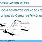 wings escola de aviação5