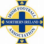 history of northern ireland soccer jersey3