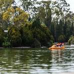 bosque de chapultepec actividades2