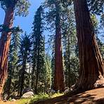 sequoia national park kings canyon national park2