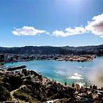 things to do in wellington new zealand1