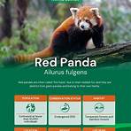 is red panda solitary animal crossing1