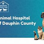 animal hospital of dauphin county hours locations2