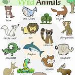 animal names list4