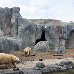 assiniboine park zoo journey to churchill2
