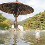 箱根溫泉為何受日本人和訪日遊客喜愛?1