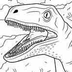 dinossauro para colorir velociraptor2