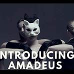 amadeus electric quartet4