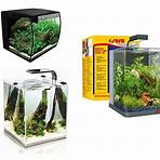 nano aquarium fische4