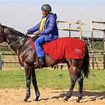daily papers horse racing tips south africa news1