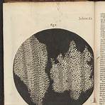 robert hooke micrographia4