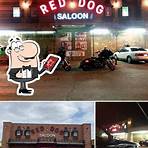 The Life and Times of the Red Dog Saloon2