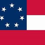 amerika flagge mit adler3