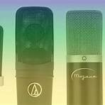 what are the four types of microphones in windows 101