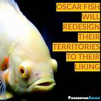 oscar fish4