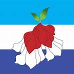 bandeira das ilhas fiji4