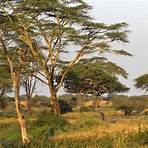 Serengeti4