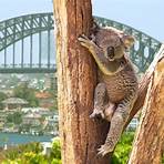 taronga zoo australien1