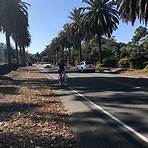 Cabrillo Bike Path Santa Barbara, CA2