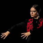 flamenco simon stevin3