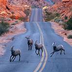 Valley of Fire3