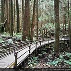 阿里山特富野步道3