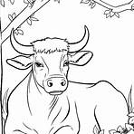 cows to color1
