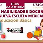 curso de habilidades docentes para la nueva escuela mexicana 2023-20243