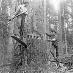 History of the lumber industry in the United States3
