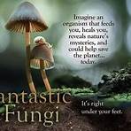 fantastic fungi movie netflix1