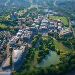 Universidad de Surrey4