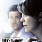 grey's anatomy 17 temporada dublado super flix5